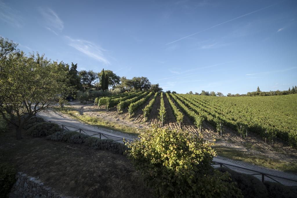 Collelungo Pensionat Castellina in Chianti Rum bild