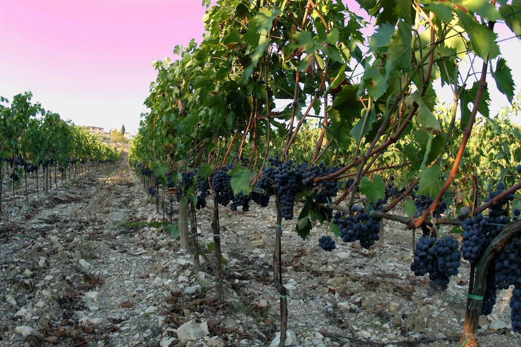 Collelungo Pensionat Castellina in Chianti Exteriör bild