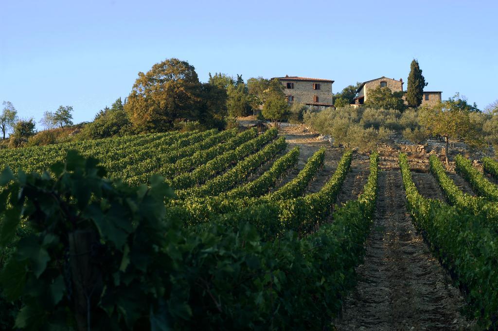 Collelungo Pensionat Castellina in Chianti Exteriör bild